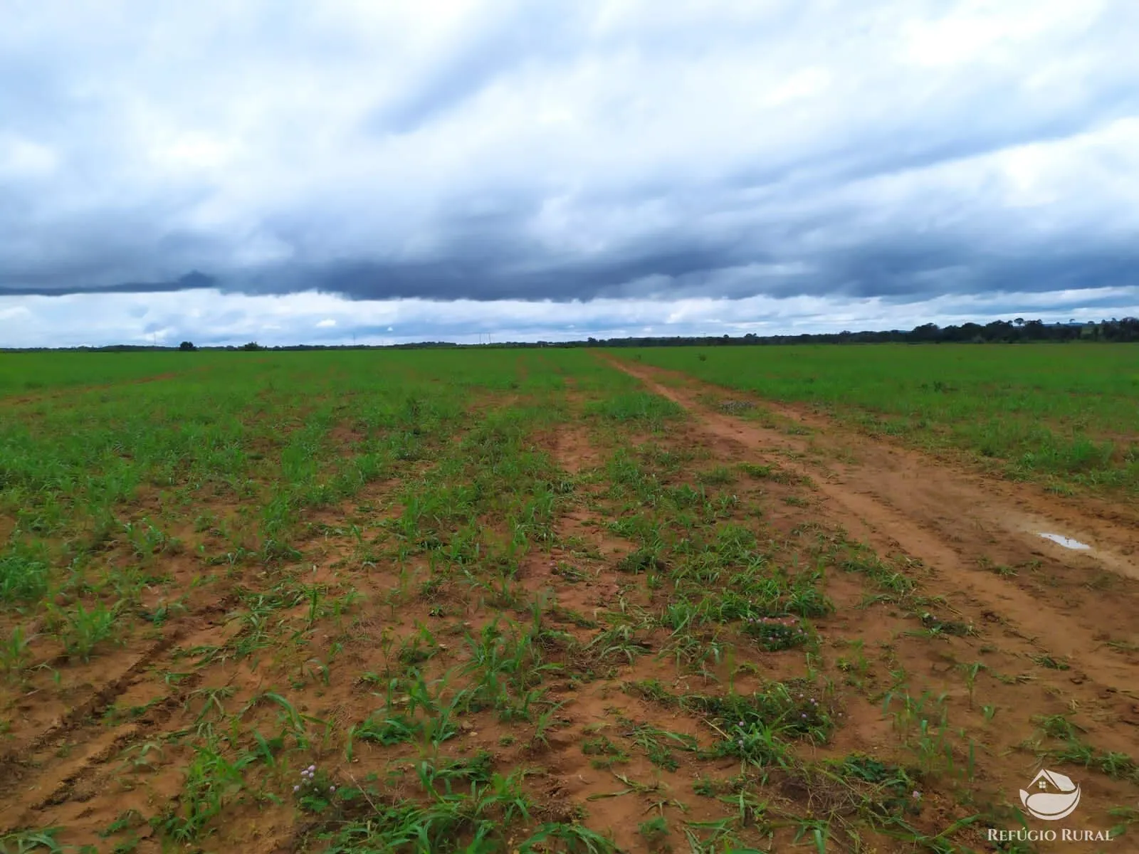 Fazenda à venda de 822 ha em Alvorada, TO, Brasil