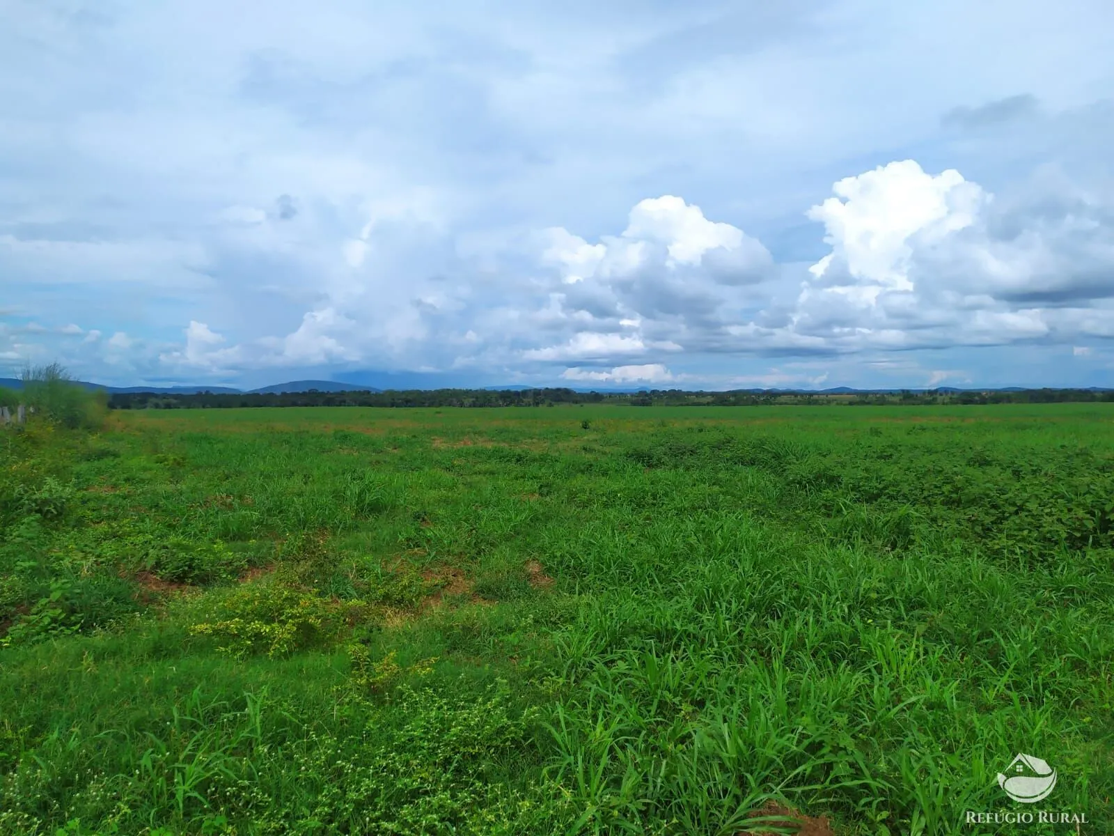 Fazenda à venda de 822 ha em Alvorada, TO, Brasil