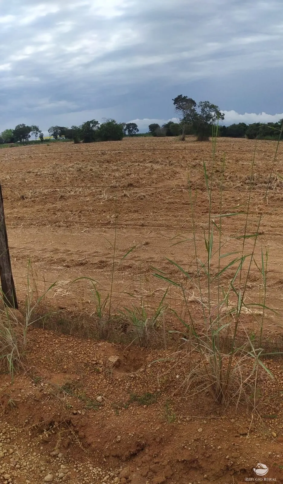 Fazenda à venda de 822 ha em Alvorada, TO, Brasil