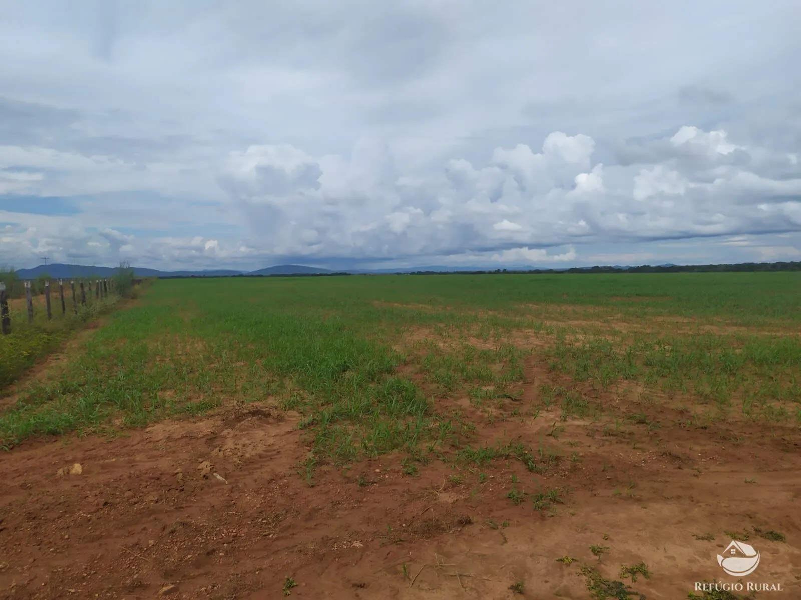 Fazenda à venda de 822 ha em Alvorada, TO, Brasil