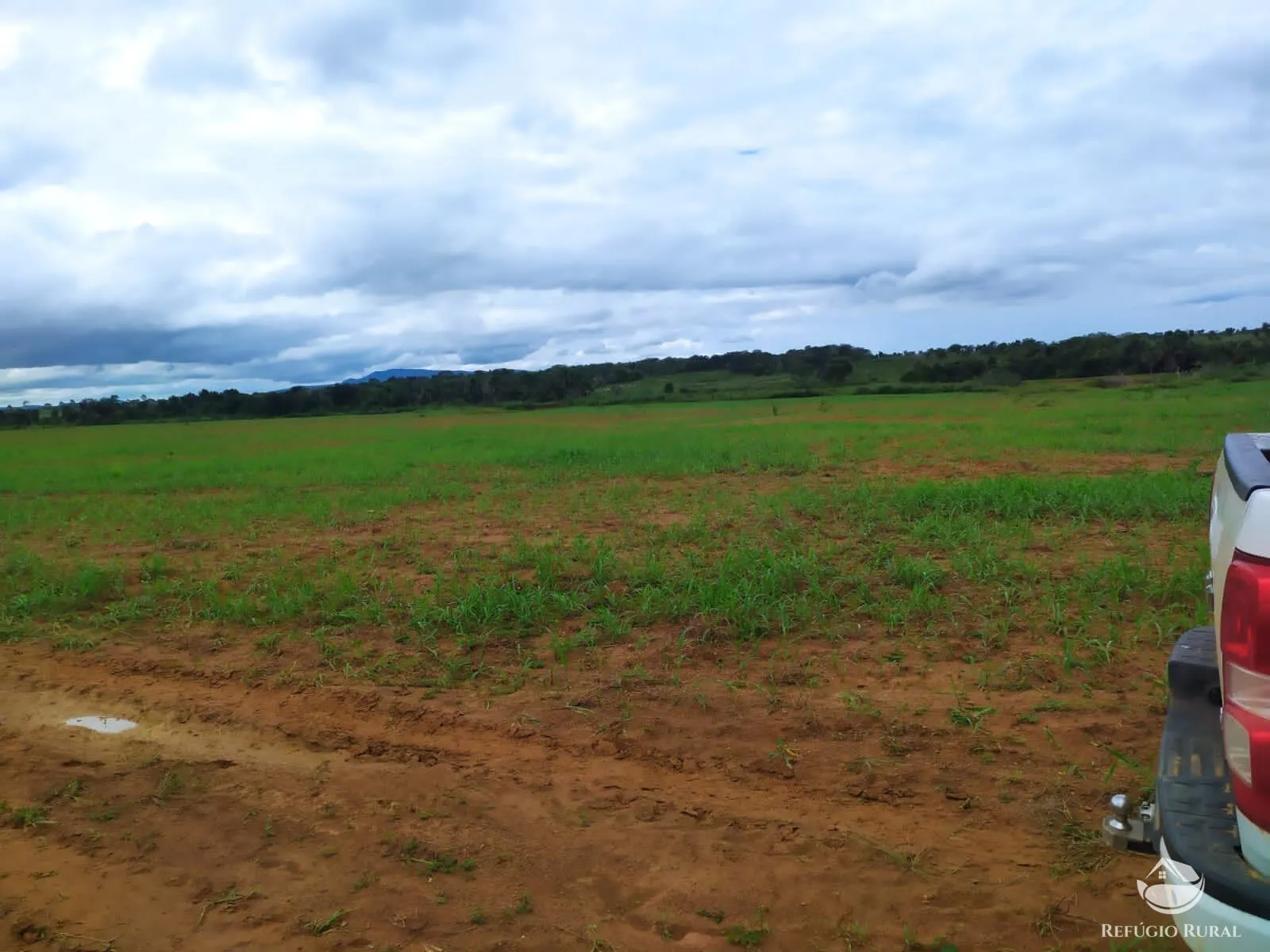 Fazenda à venda de 822 ha em Alvorada, TO, Brasil
