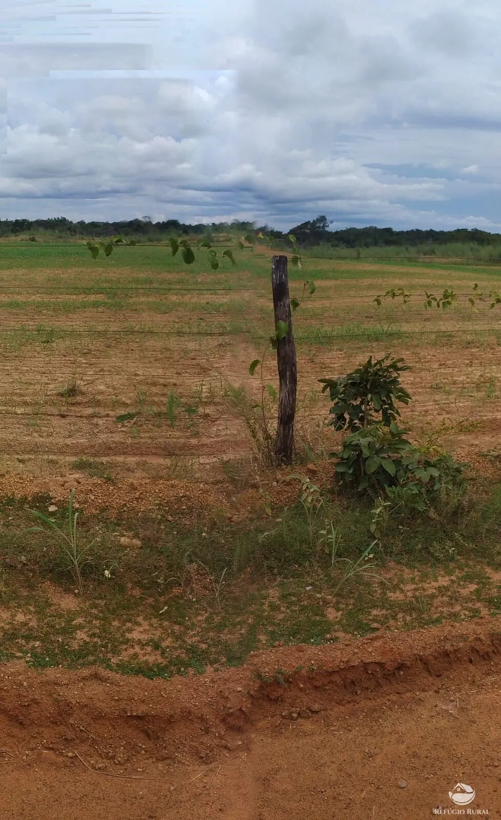 Fazenda à venda de 822 ha em Alvorada, TO, Brasil