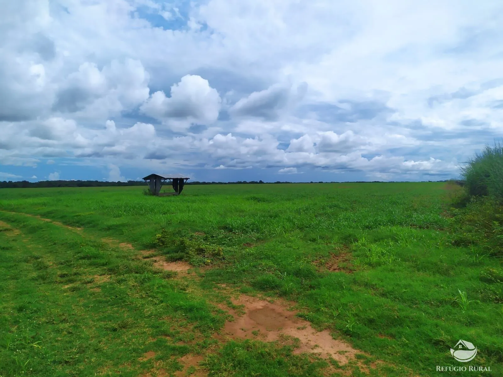 Fazenda à venda de 822 ha em Alvorada, TO, Brasil