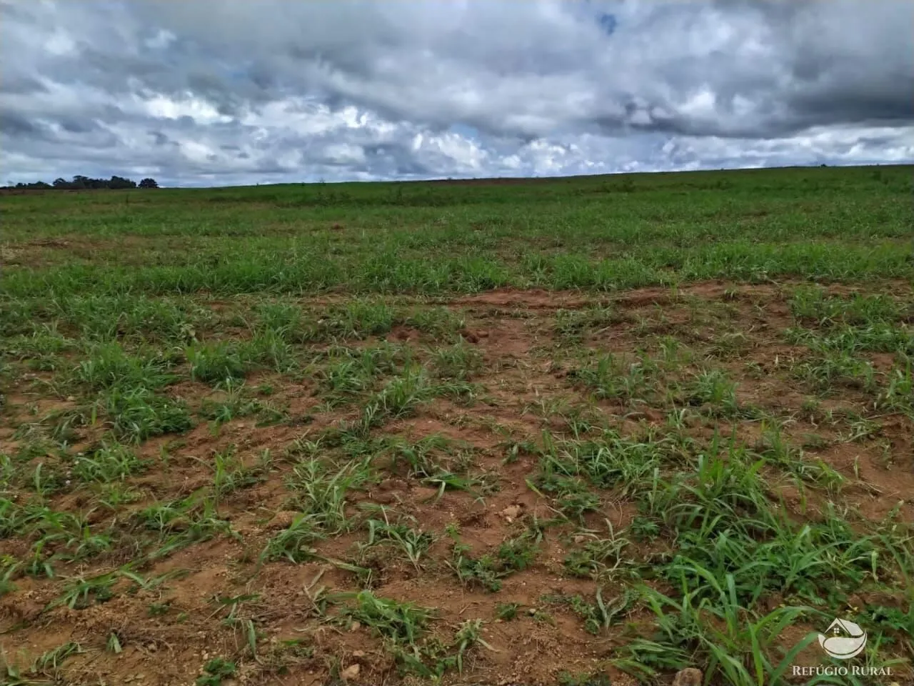 Fazenda à venda de 822 ha em Alvorada, TO, Brasil