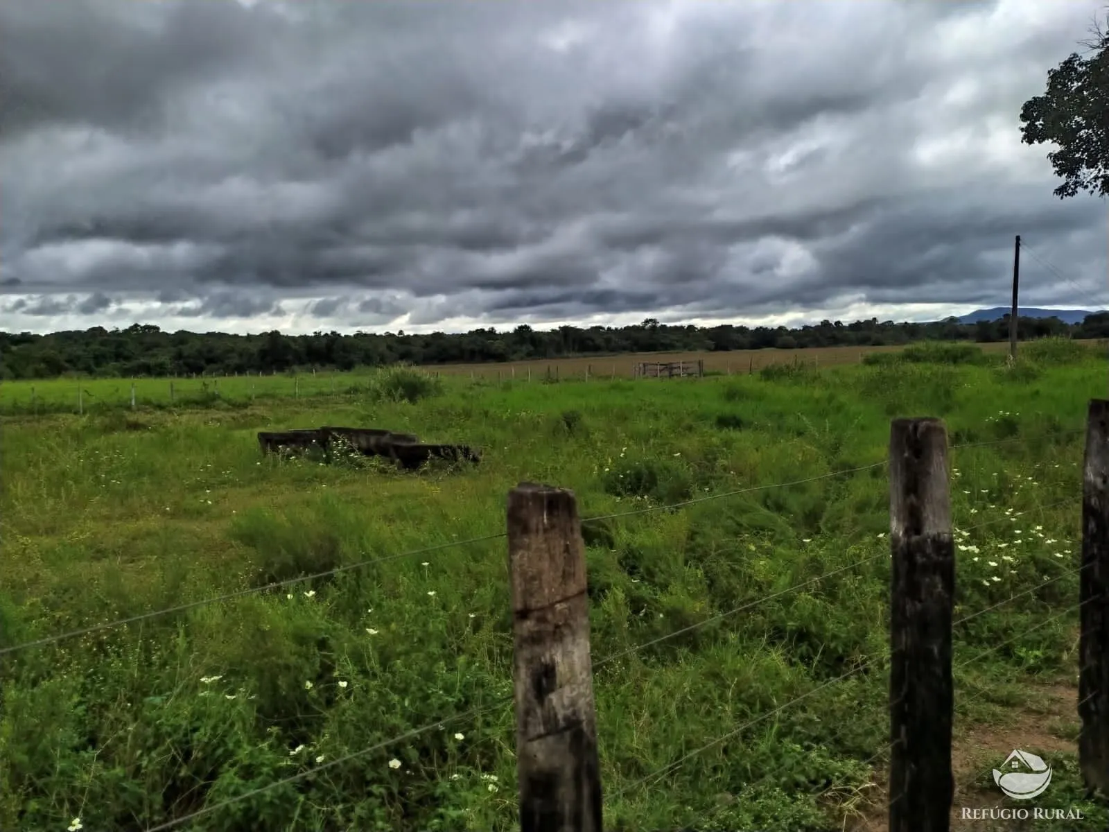 Fazenda à venda de 822 ha em Alvorada, TO, Brasil