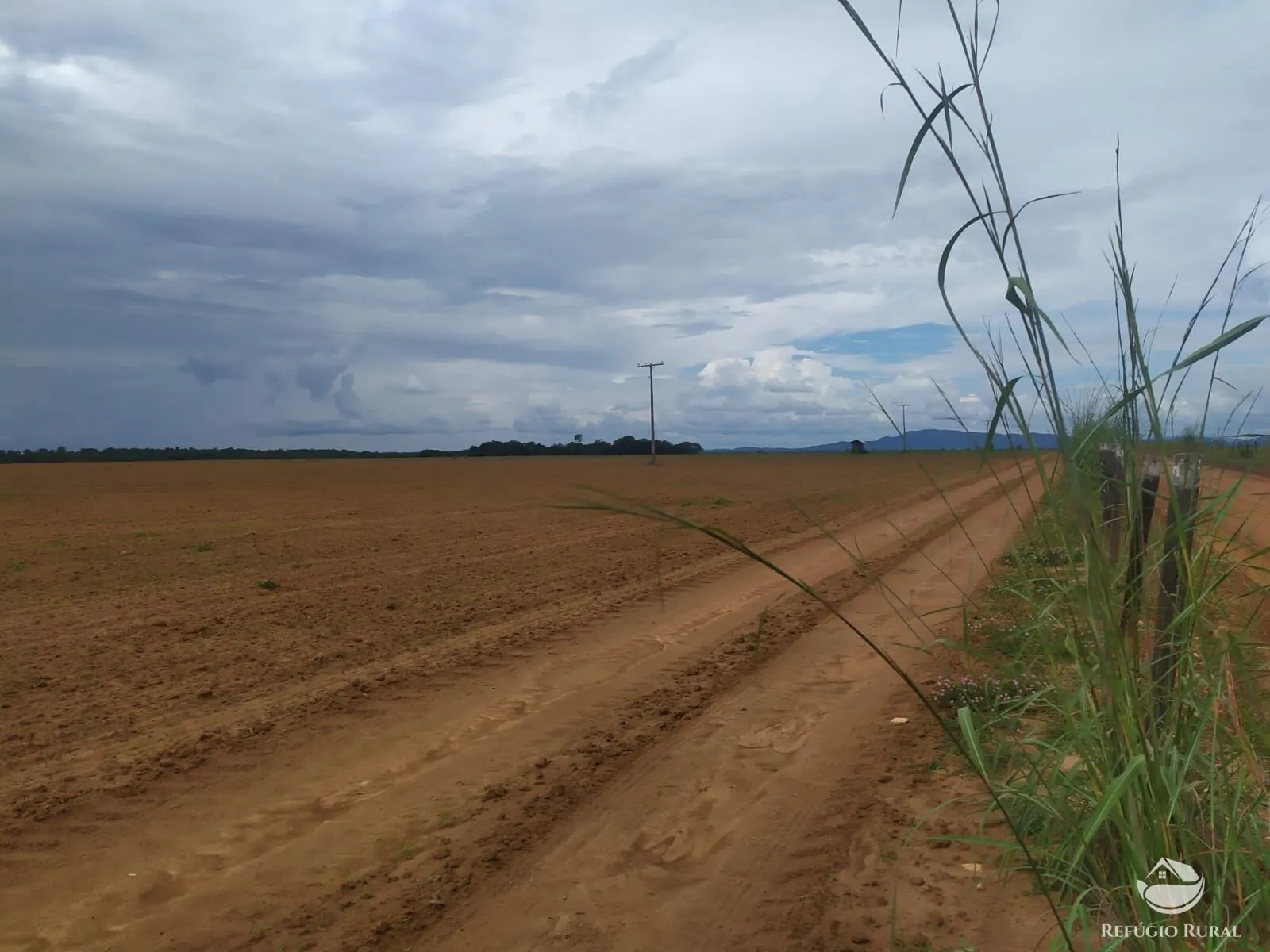 Fazenda à venda de 822 ha em Alvorada, TO, Brasil