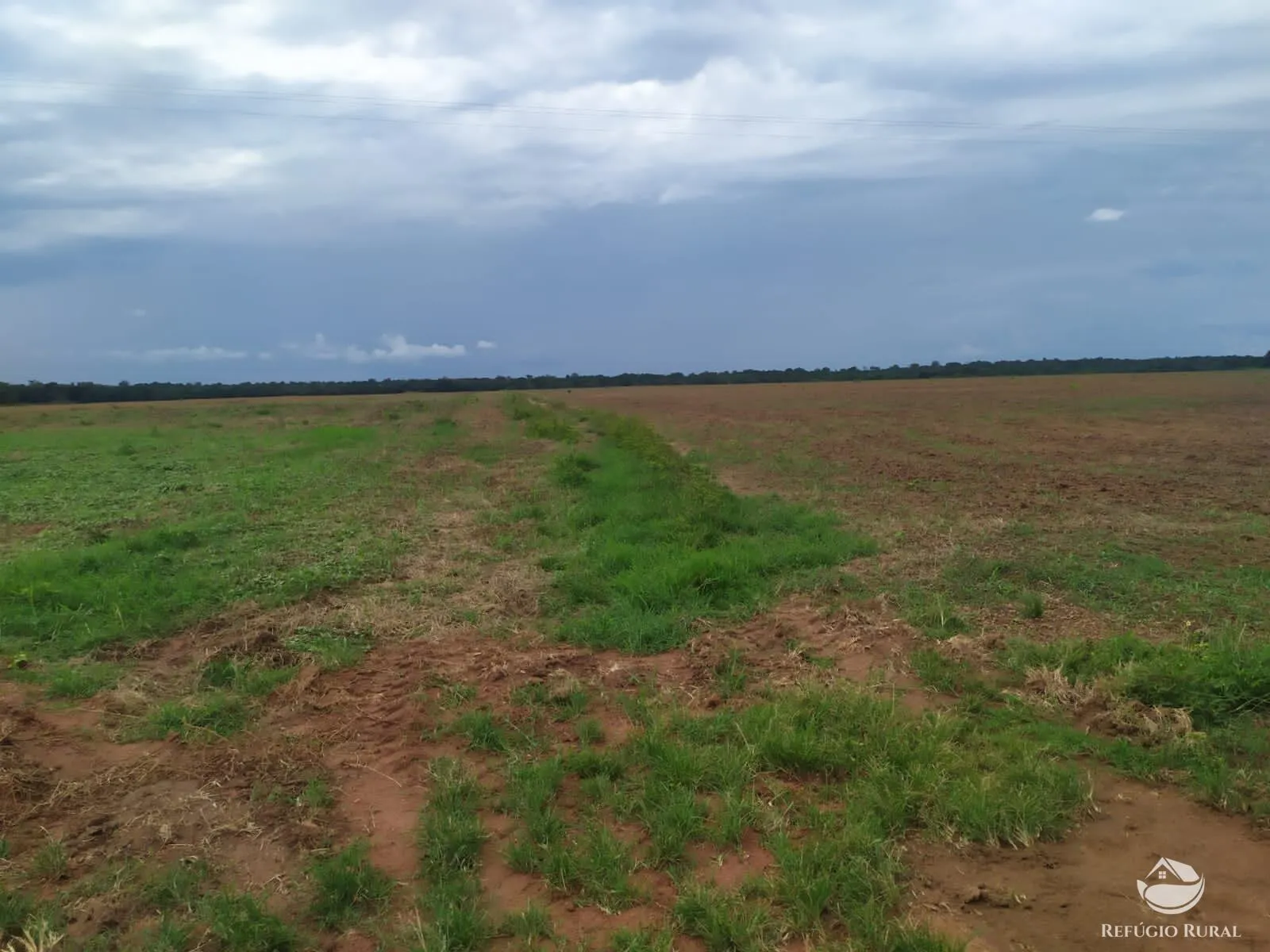 Fazenda à venda de 822 ha em Alvorada, TO, Brasil