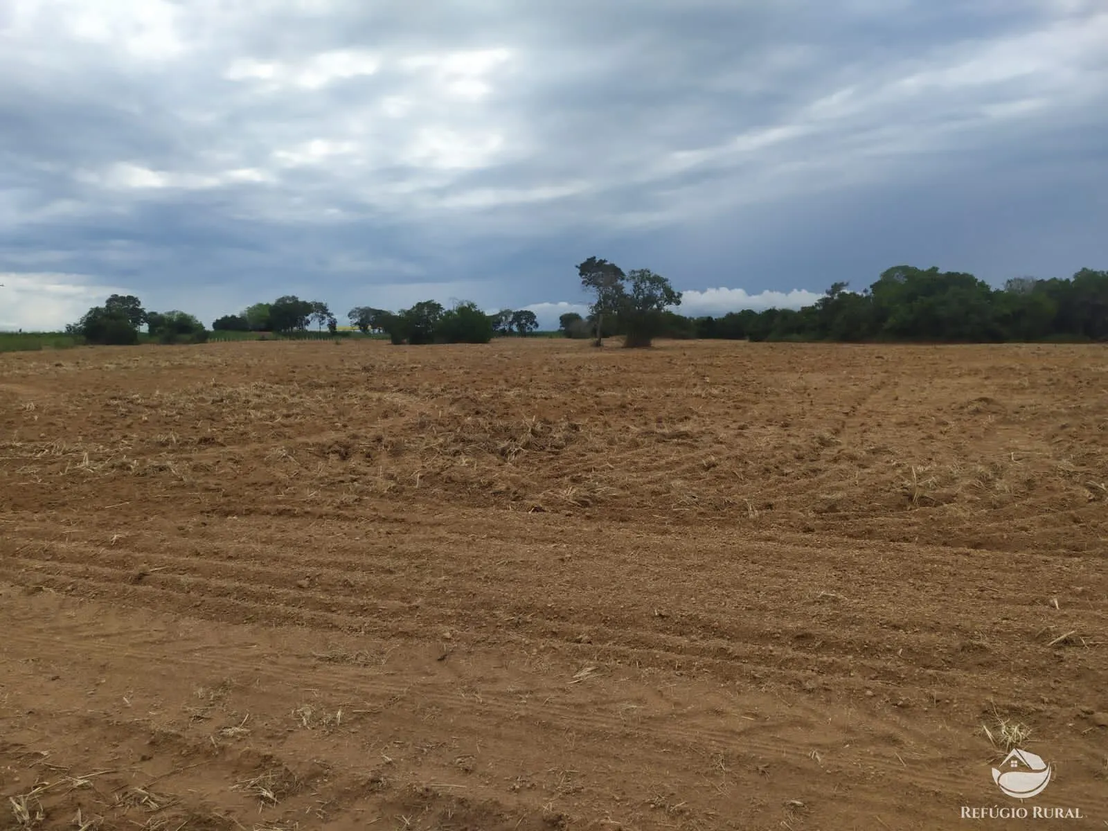 Fazenda à venda de 822 ha em Alvorada, TO, Brasil