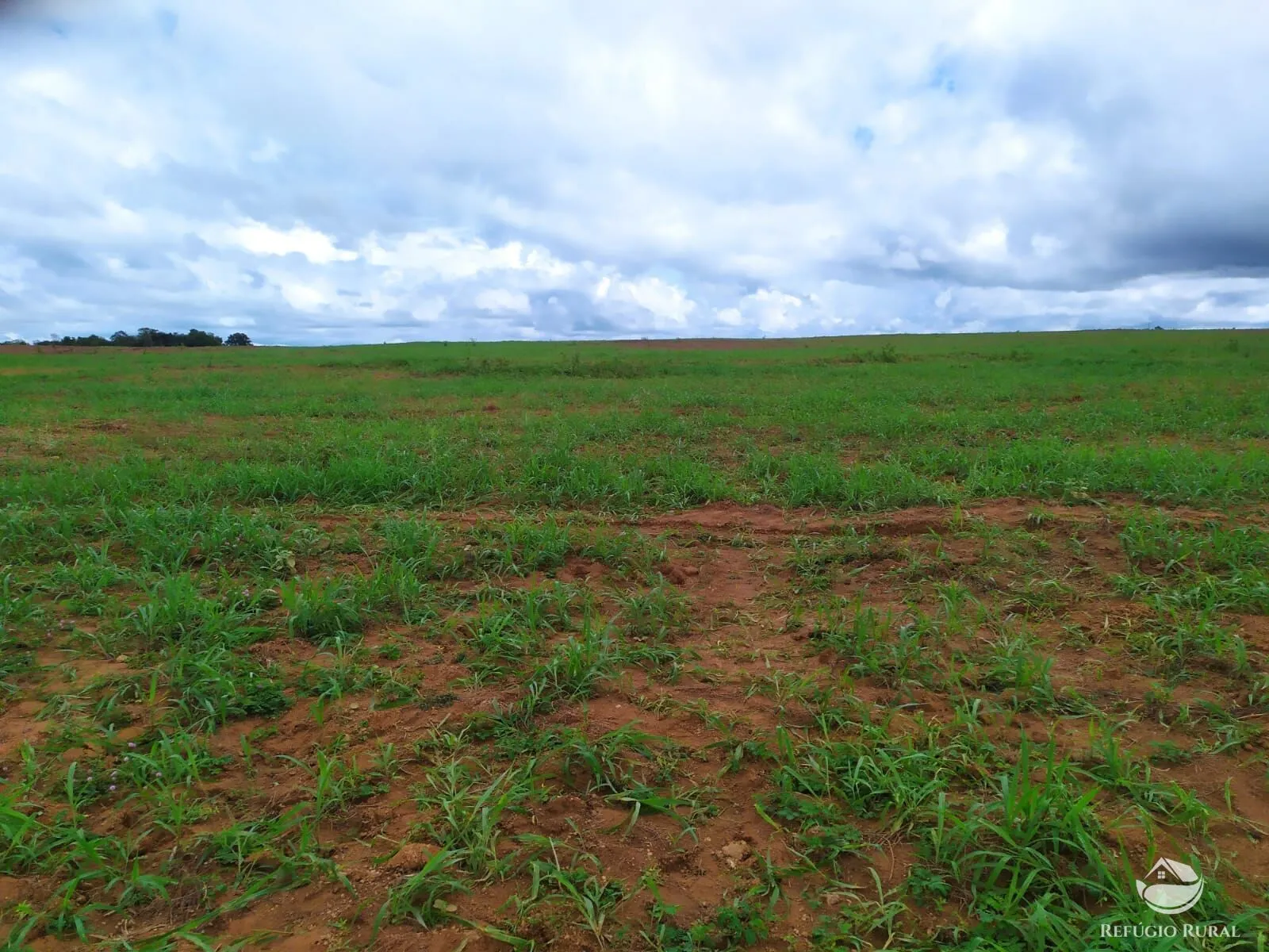 Fazenda à venda de 822 ha em Alvorada, TO, Brasil