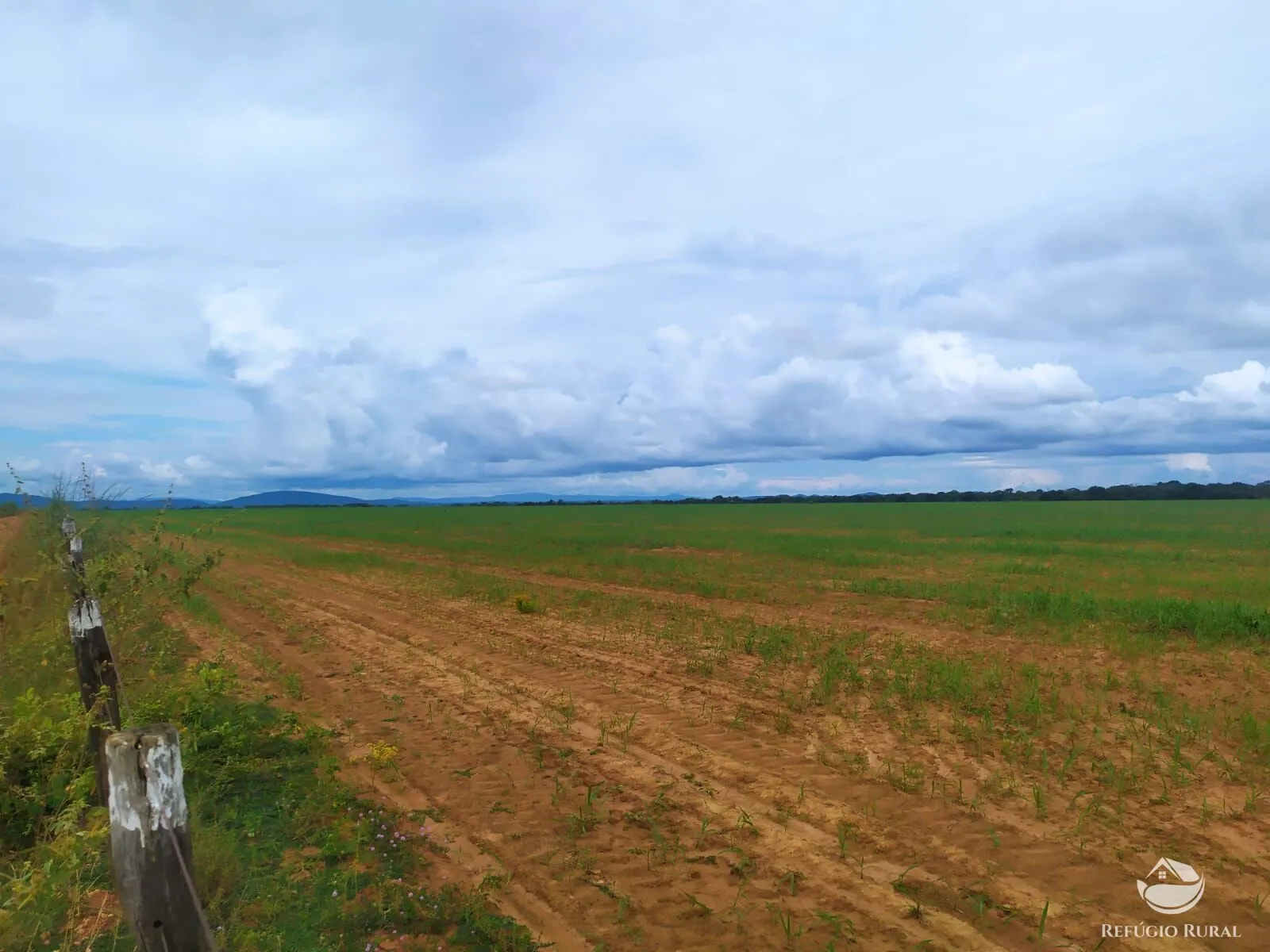 Fazenda à venda de 822 ha em Alvorada, TO, Brasil