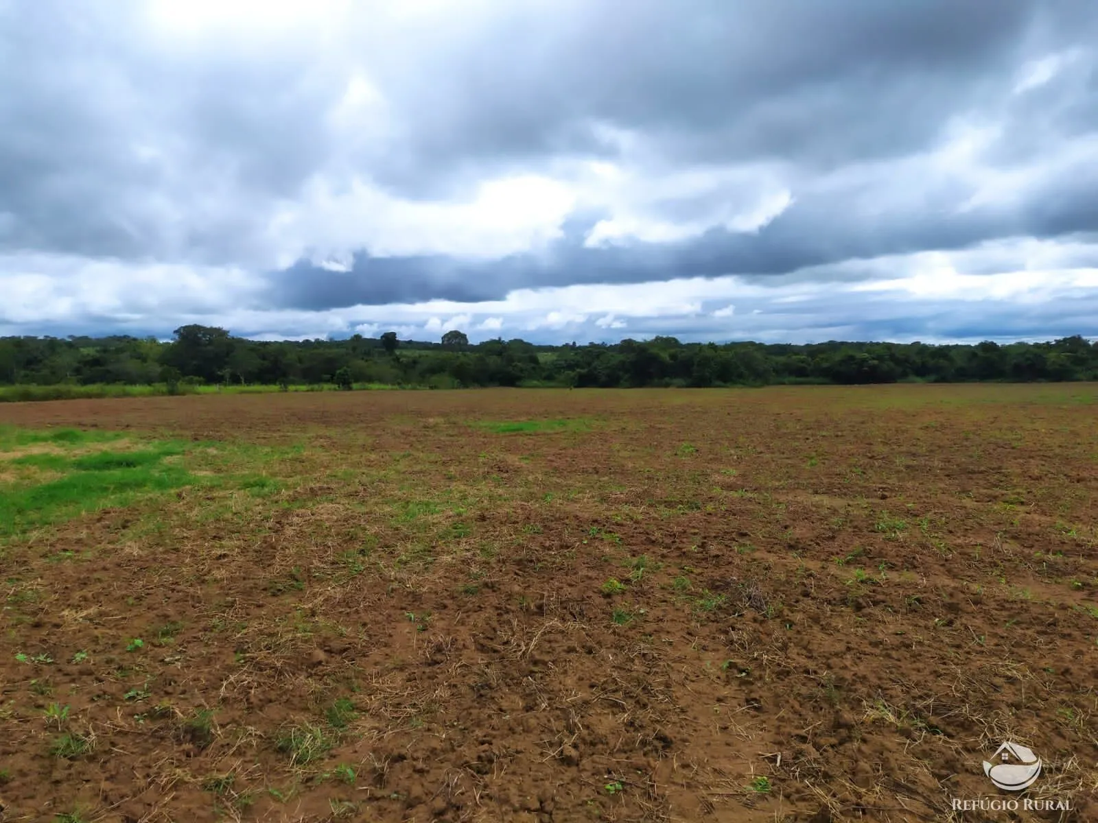 Fazenda à venda de 822 ha em Alvorada, TO, Brasil