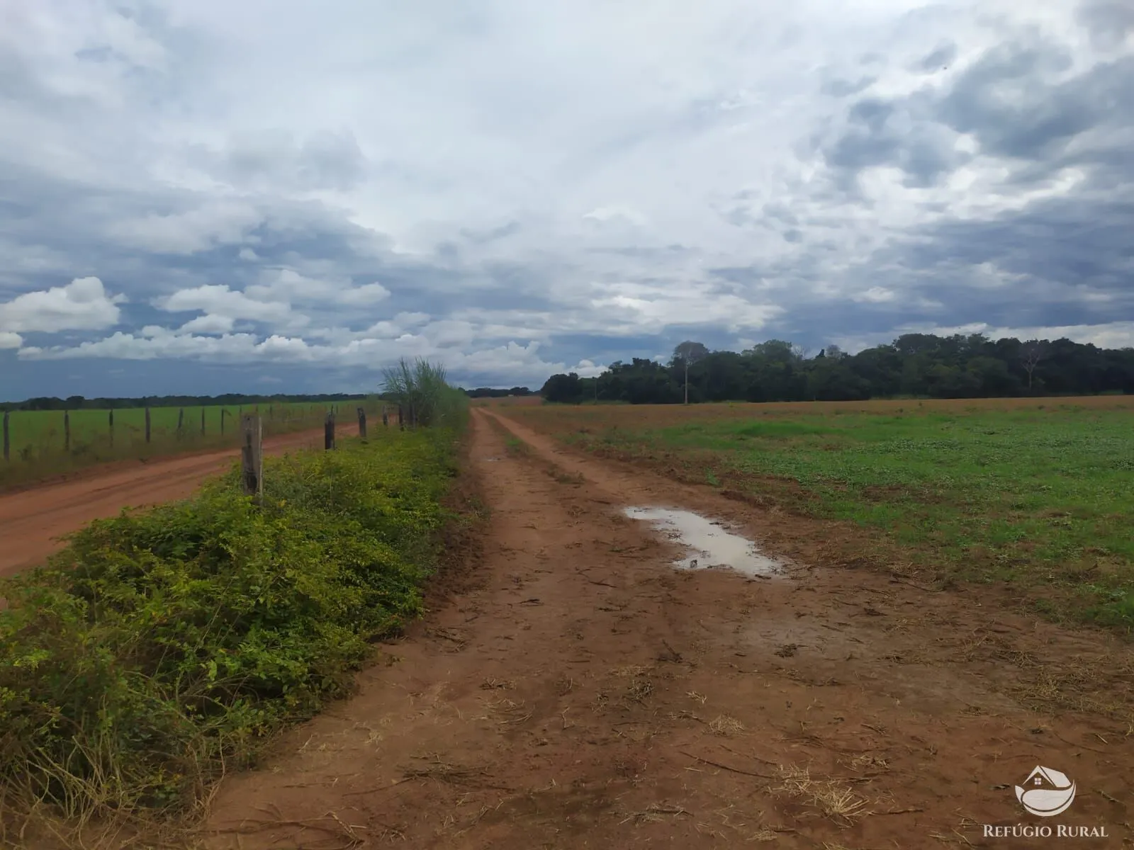 Fazenda à venda de 822 ha em Alvorada, TO, Brasil