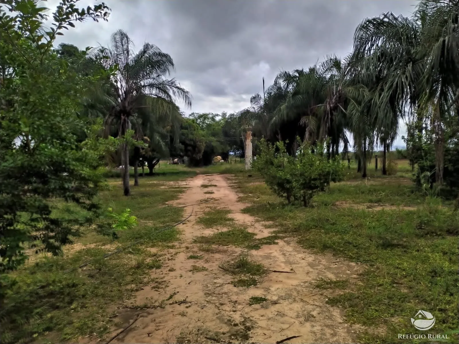 Fazenda à venda de 822 ha em Alvorada, TO, Brasil