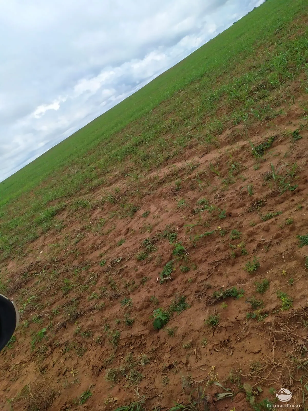 Fazenda à venda de 822 ha em Alvorada, TO, Brasil