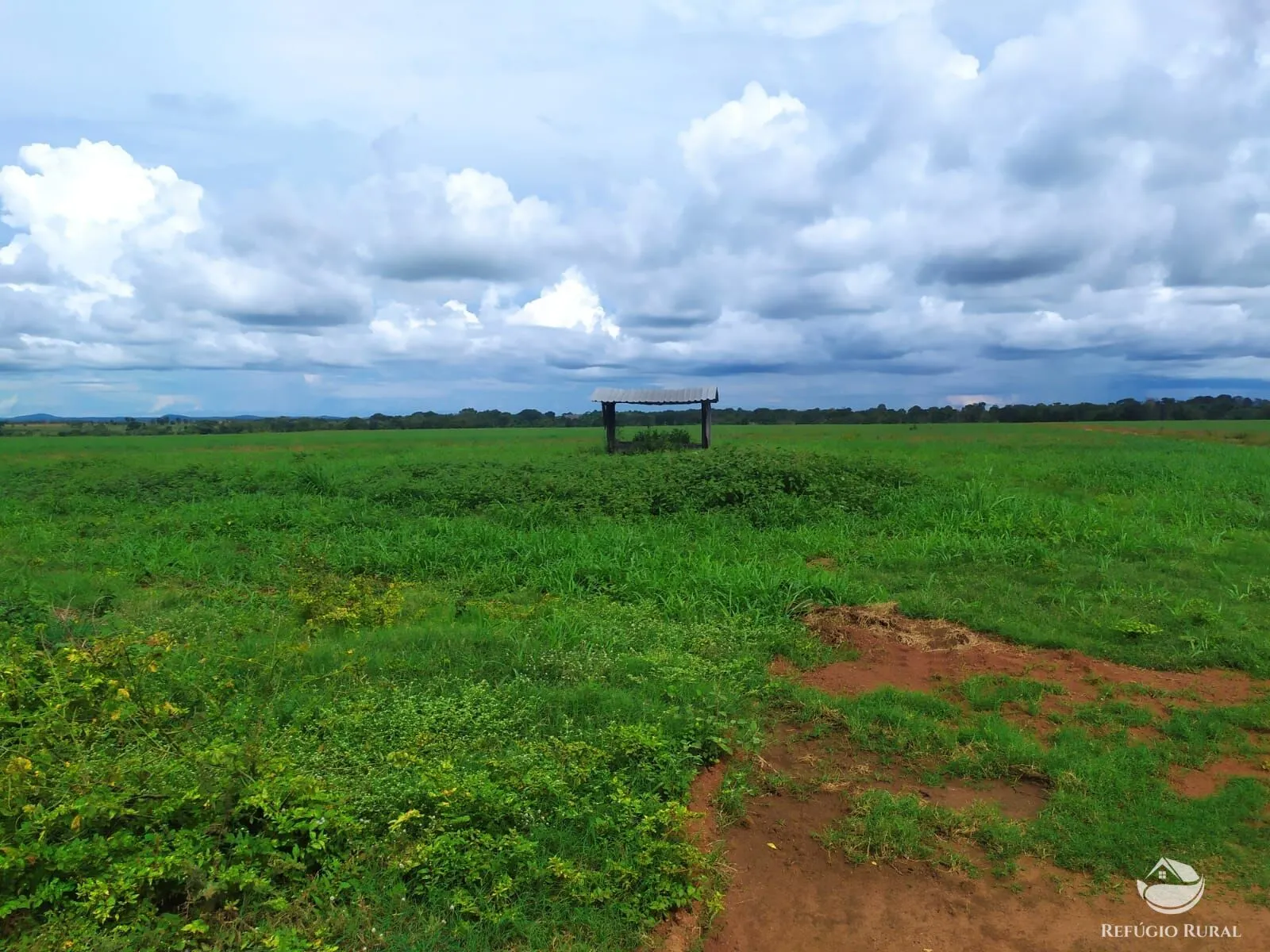 Fazenda à venda de 822 ha em Alvorada, TO, Brasil
