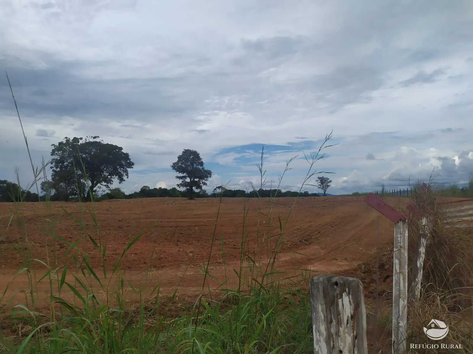 Fazenda à venda de 822 ha em Alvorada, TO, Brasil