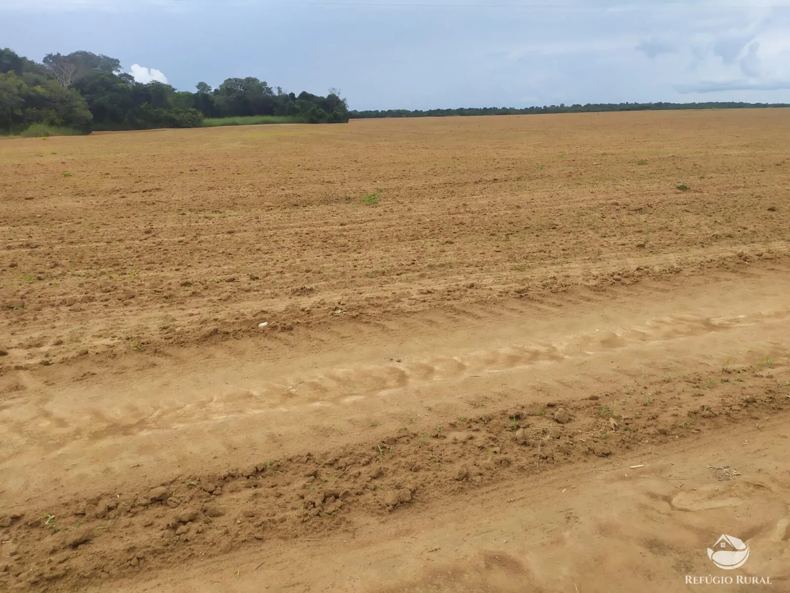 Fazenda à venda de 822 ha em Alvorada, TO, Brasil