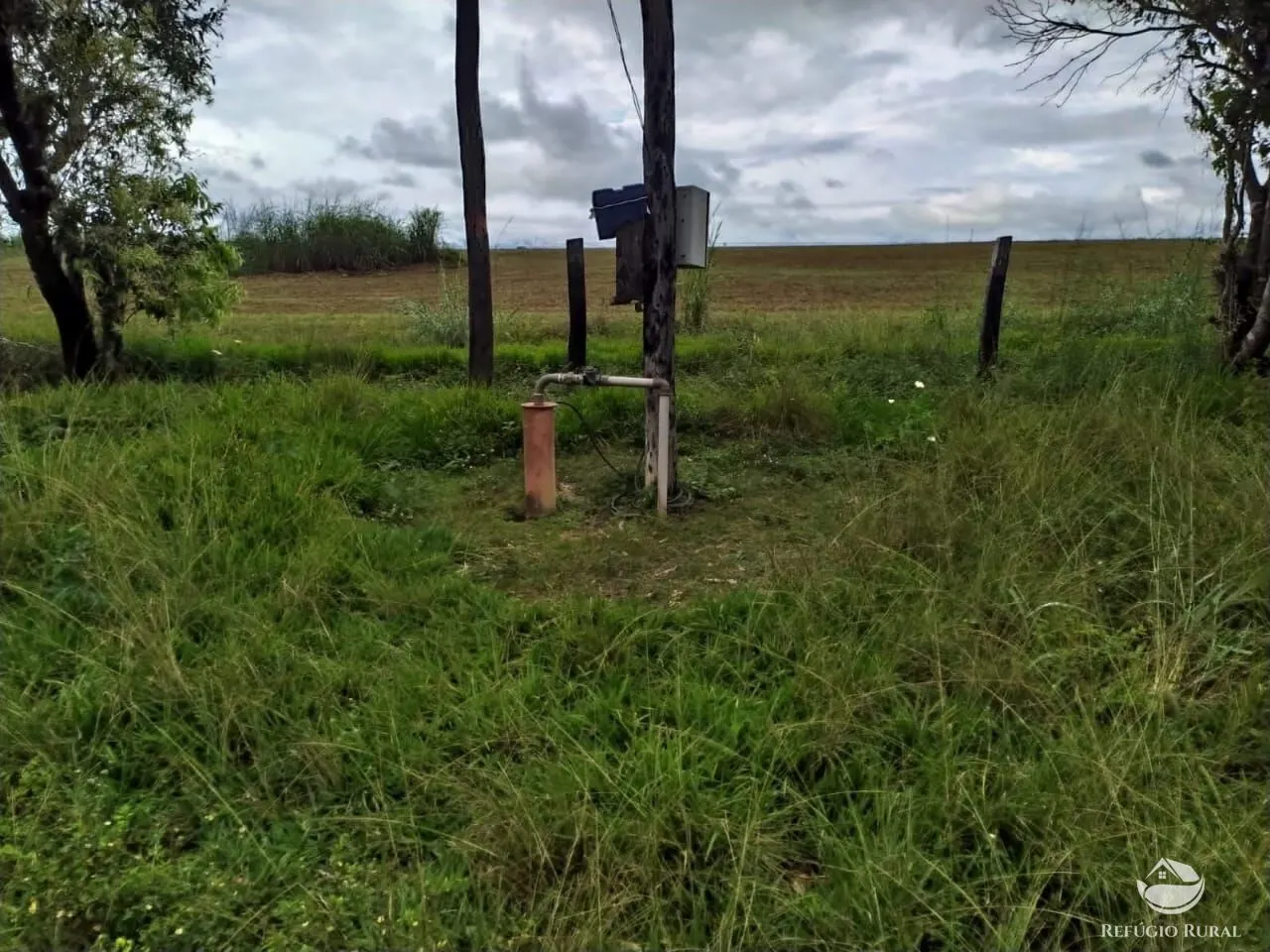 Fazenda à venda de 822 ha em Alvorada, TO, Brasil