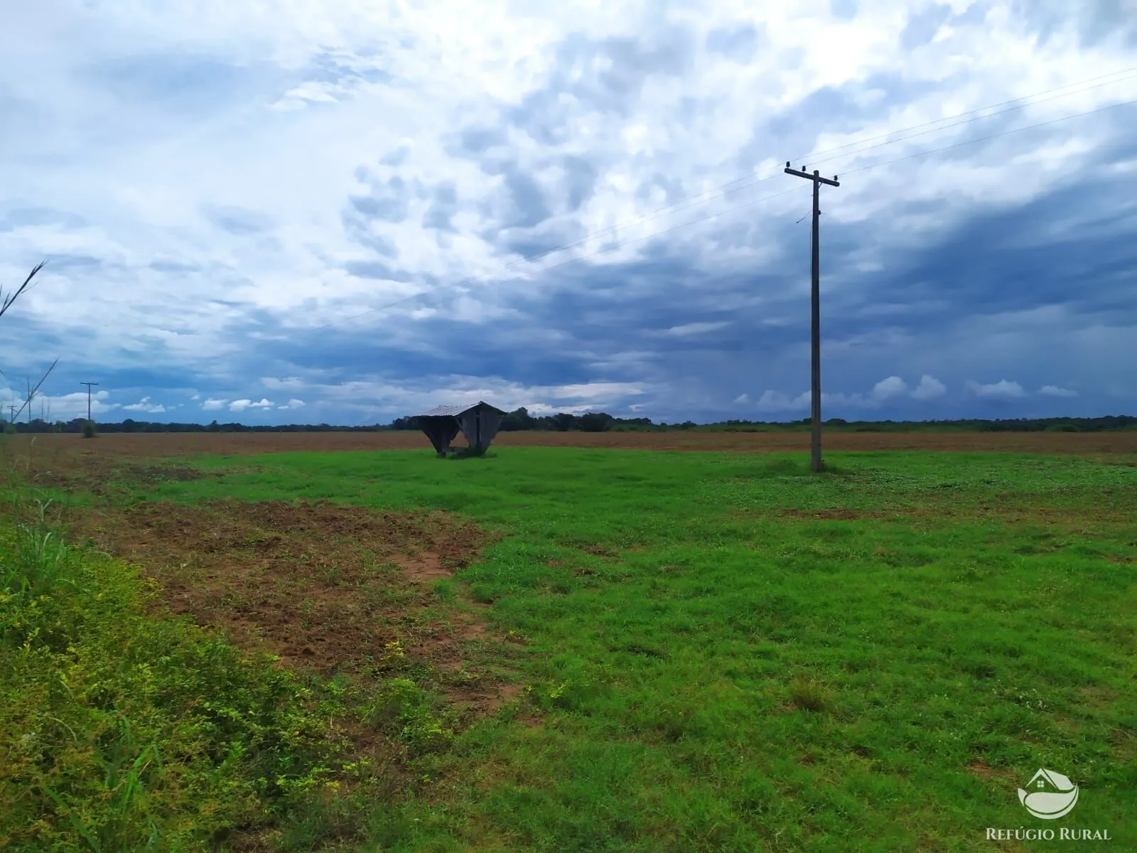 Fazenda à venda de 822 ha em Alvorada, TO, Brasil