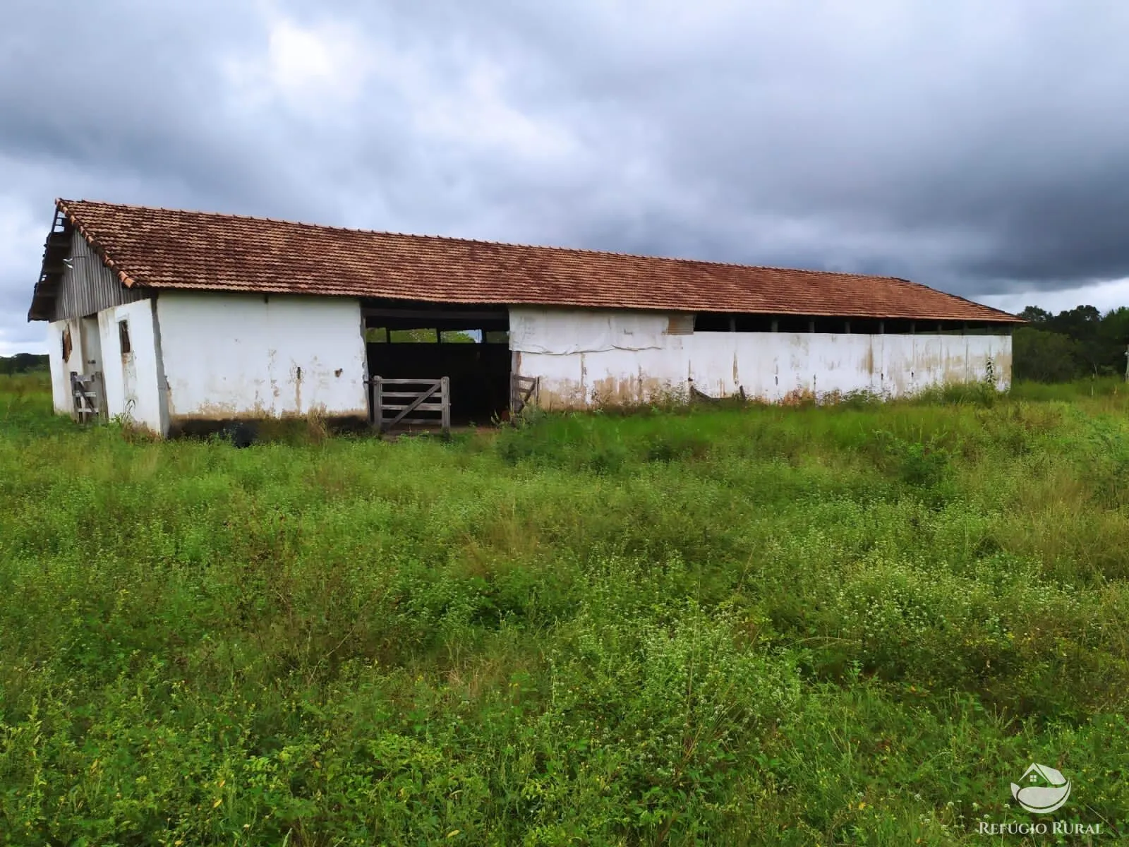Fazenda à venda de 822 ha em Alvorada, TO, Brasil