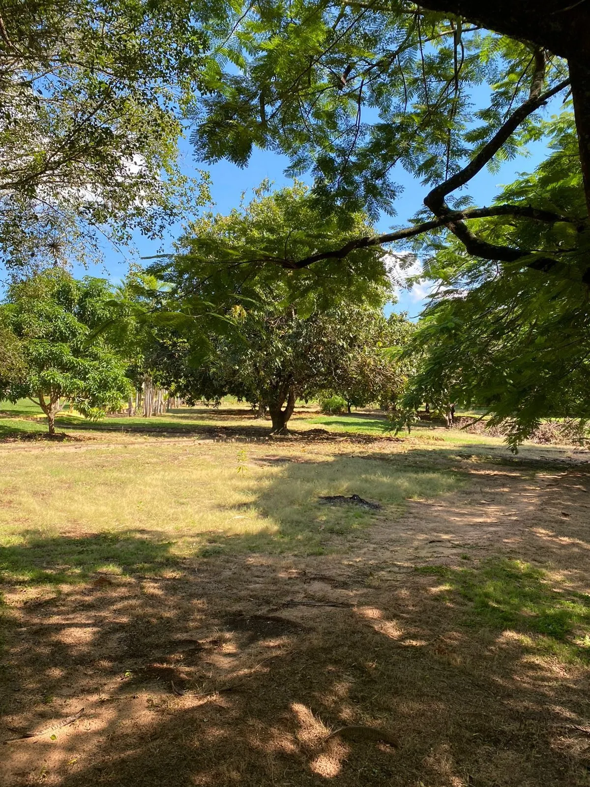 Country home for sale of 1,500 m² in Dois Córregos, SP, Brazil