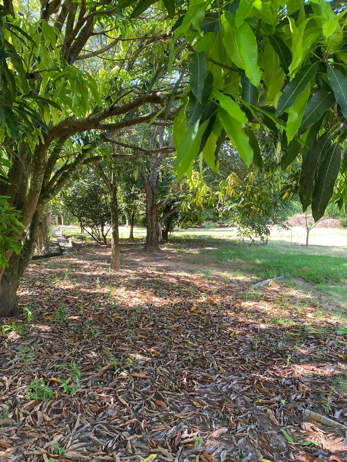 Country home for sale of 1,500 m² in Dois Córregos, SP, Brazil