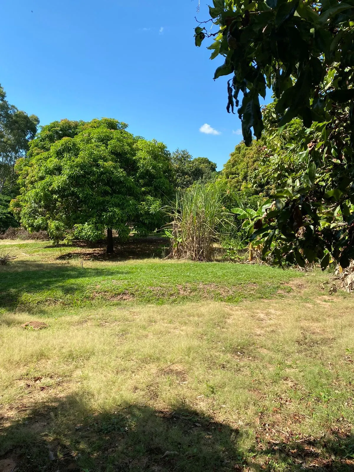 Country home for sale of 1,500 m² in Dois Córregos, SP, Brazil