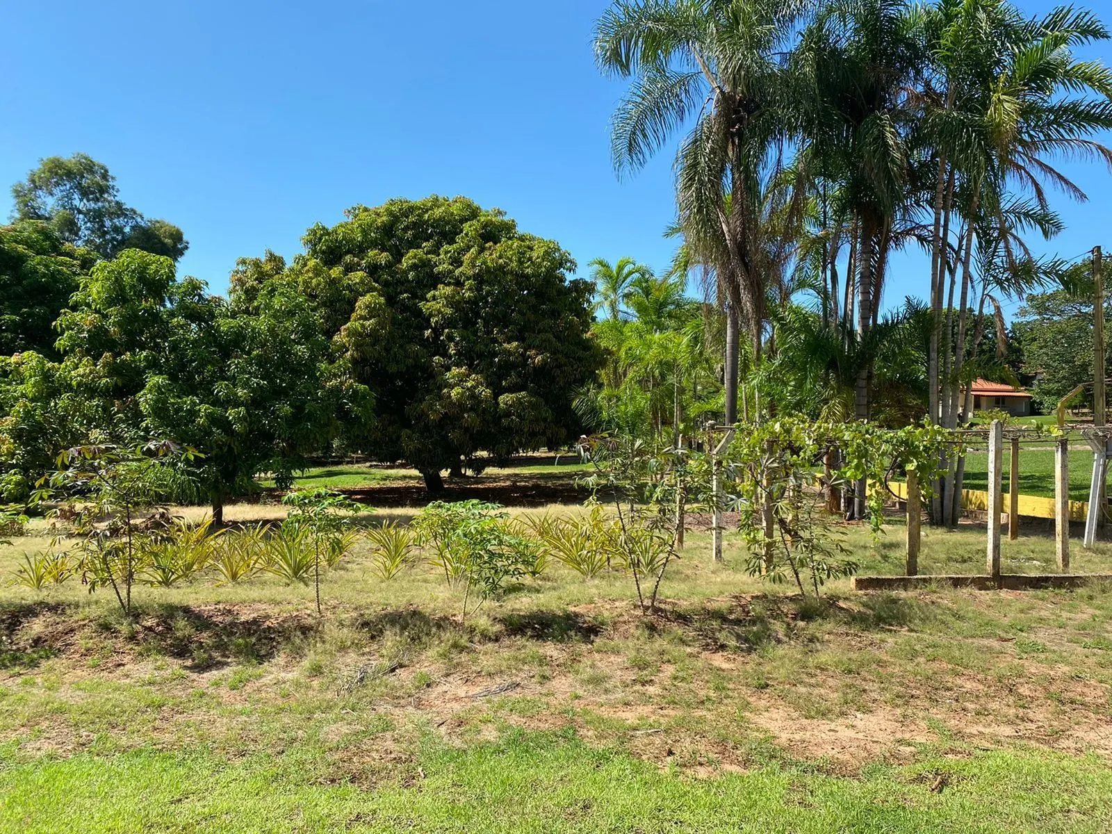 Country home for sale of 1,500 m² in Dois Córregos, SP, Brazil