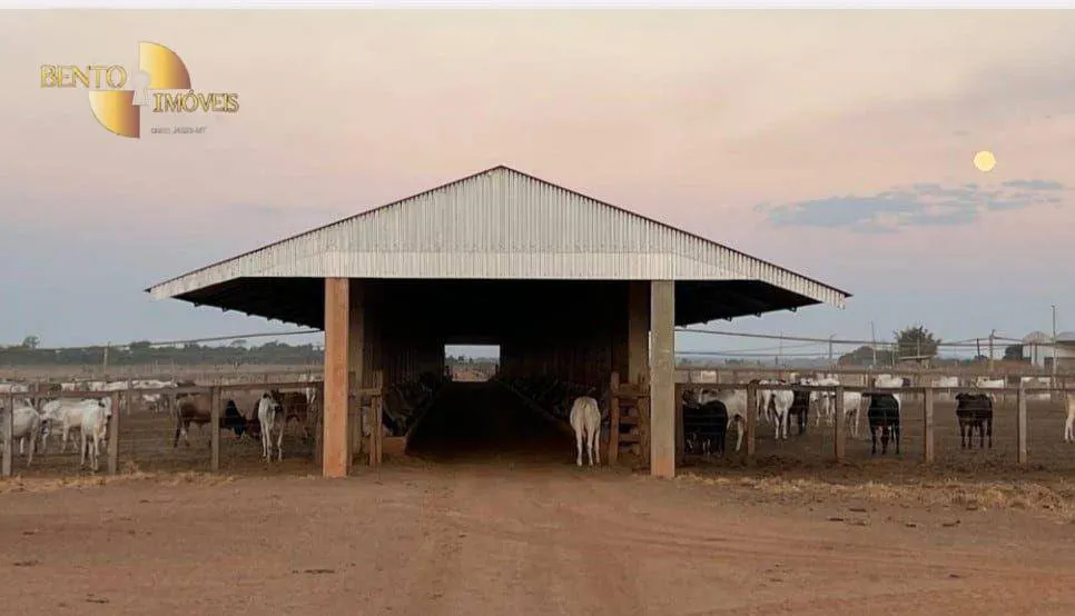 Fazenda à venda de 4.236 ha em Santa Terezinha, MT, Brasil