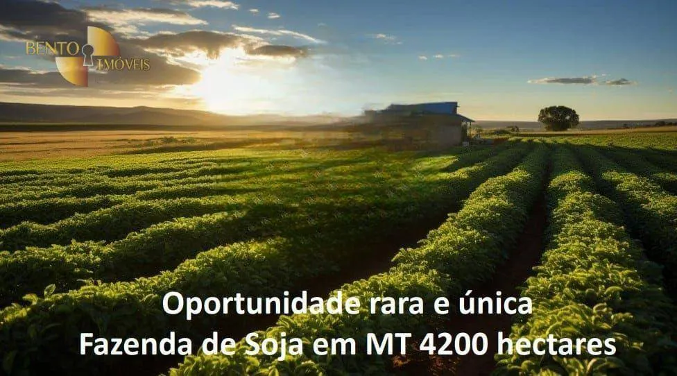 Fazenda à venda de 4.236 ha em Santa Terezinha, MT, Brasil