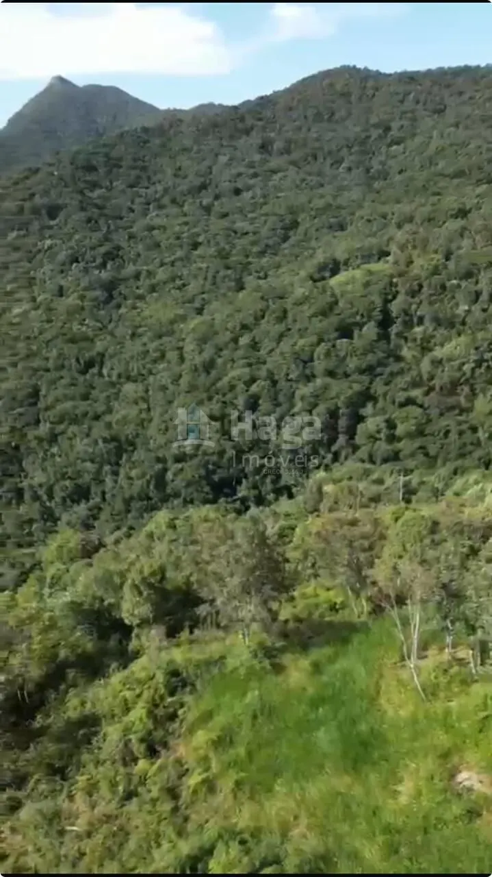 Chácara à venda de 2.500 m² em São João Batista, SC, Brasil