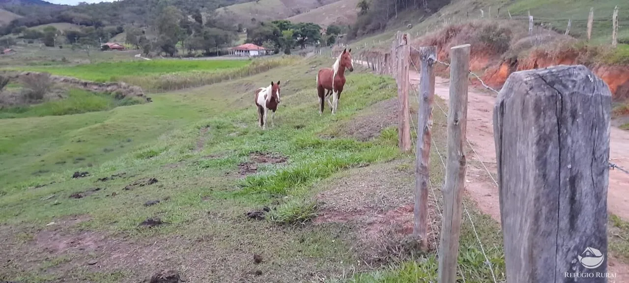 Fazenda à venda de 121 ha em Cunha, SP, Brasil