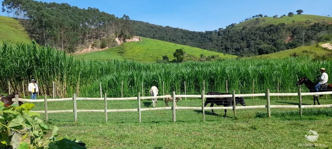 Fazenda à venda de 121 ha em Cunha, SP, Brasil