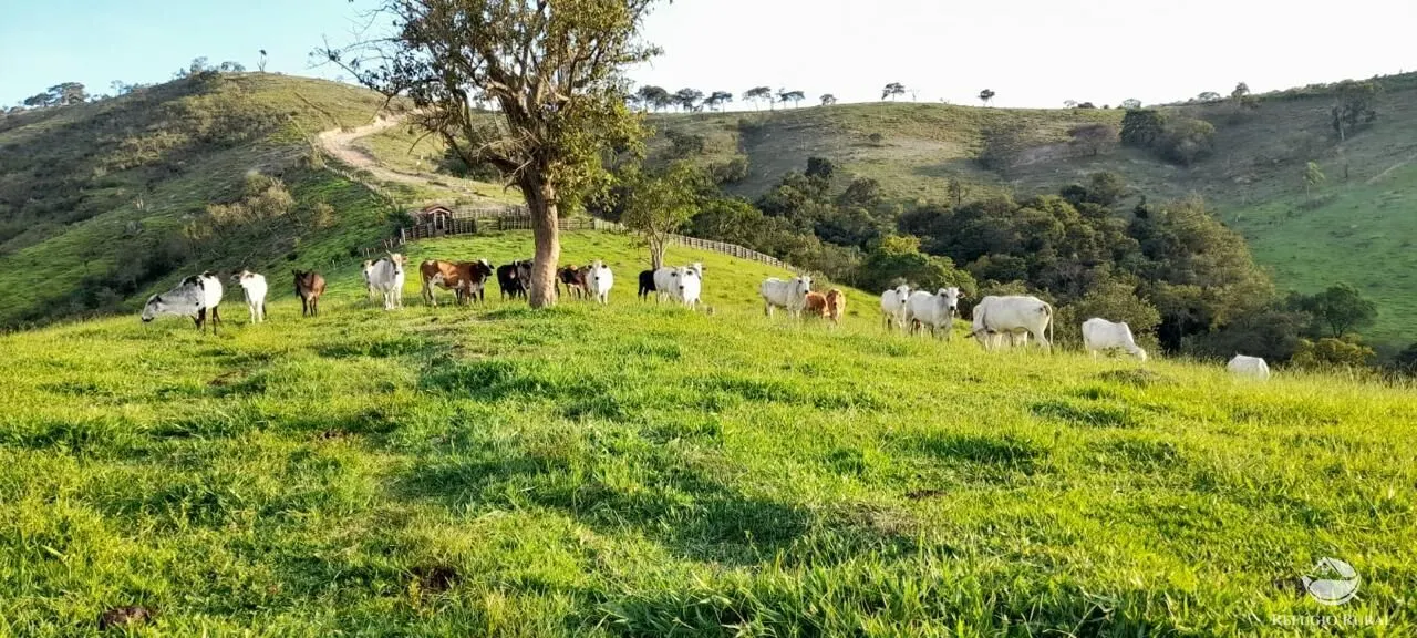 Fazenda à venda de 121 ha em Cunha, SP, Brasil