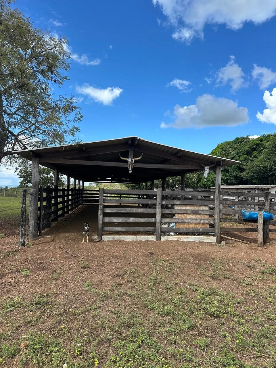 Fazenda à venda de 145 ha em Luziânia, GO, Brasil