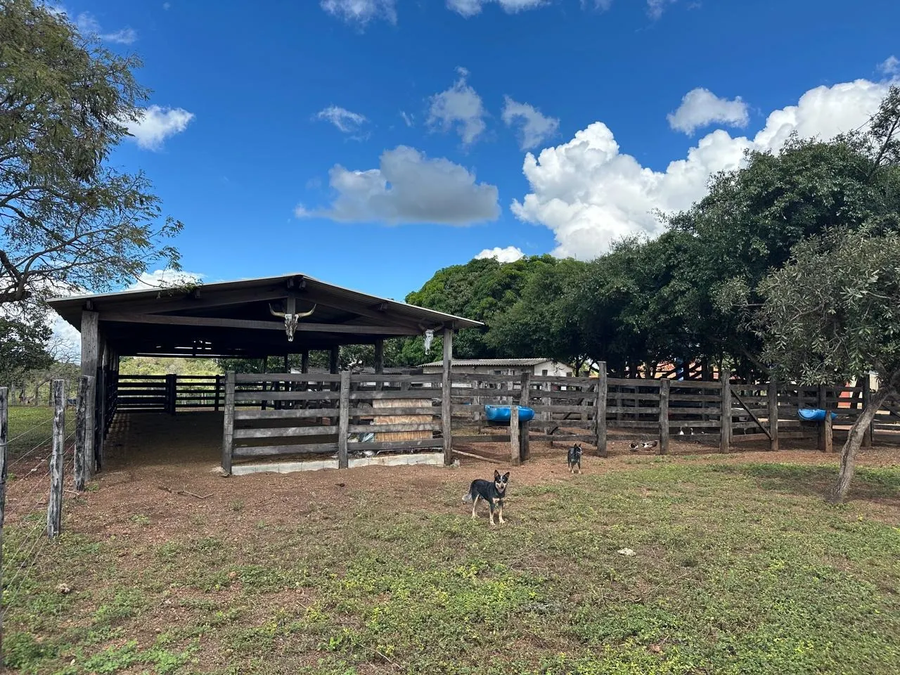 Fazenda à venda de 145 ha em Luziânia, GO, Brasil