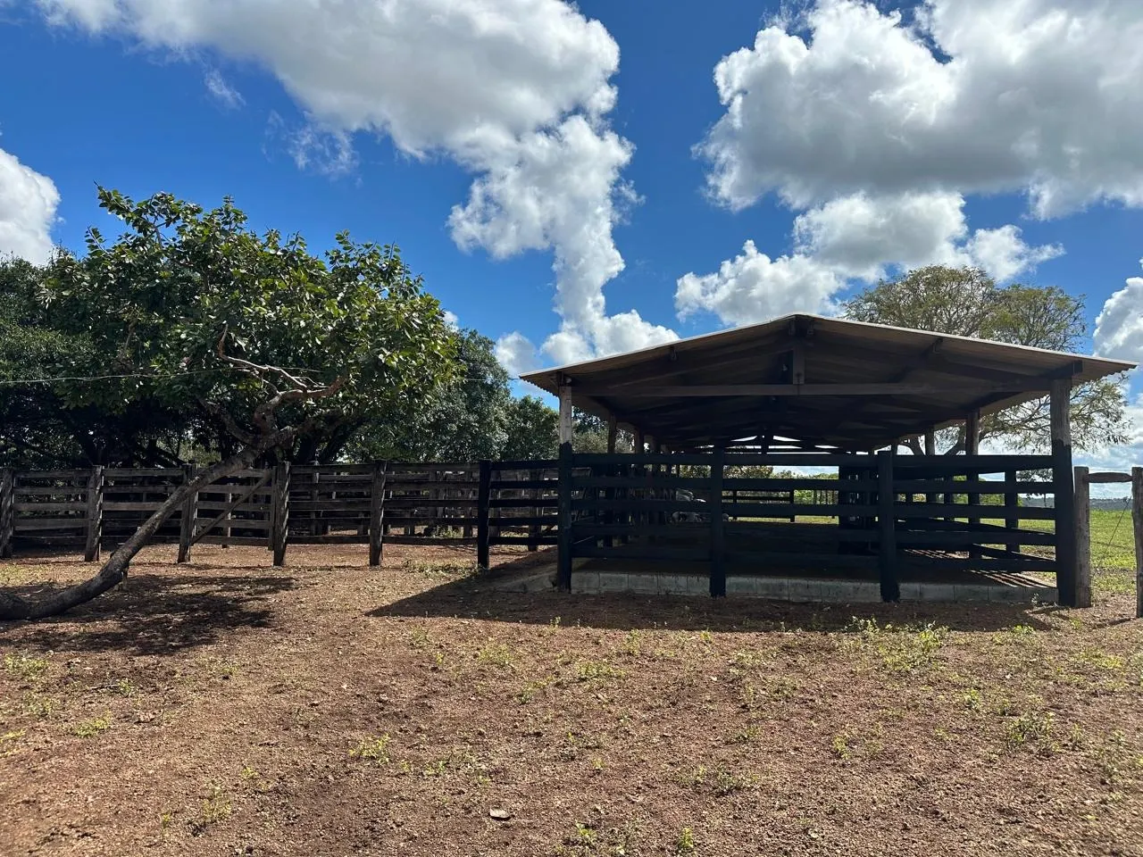 Fazenda à venda de 145 ha em Luziânia, GO, Brasil