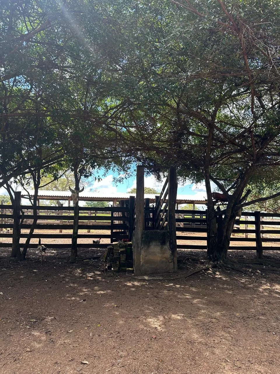Fazenda à venda de 145 ha em Luziânia, GO, Brasil