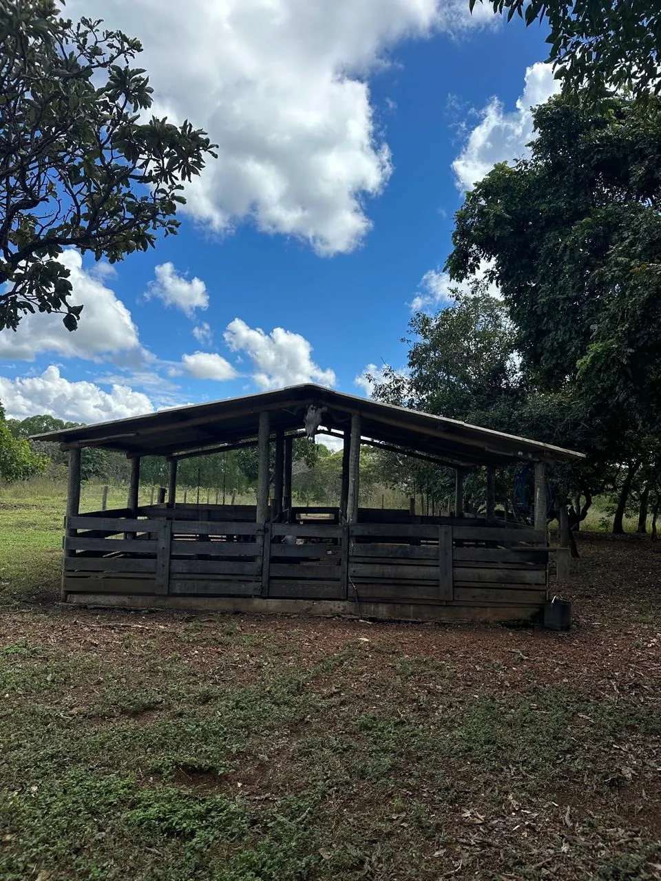 Fazenda à venda de 145 ha em Luziânia, GO, Brasil