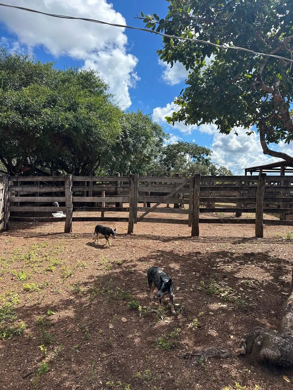 Fazenda à venda de 145 ha em Luziânia, GO, Brasil