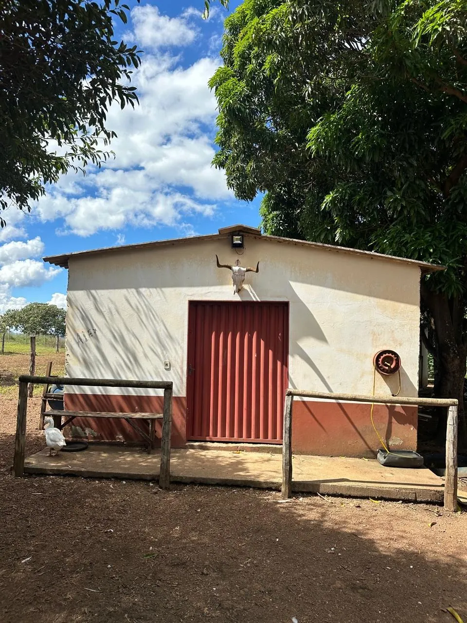 Fazenda à venda de 145 ha em Luziânia, GO, Brasil