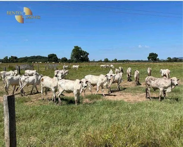 Fazenda à venda de 2.050 ha em Cuiabá, MT, Brasil
