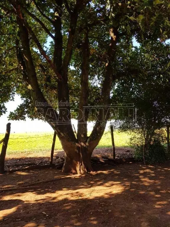 Chácara à venda de 9.188 m² em Araraquara, SP, Brasil
