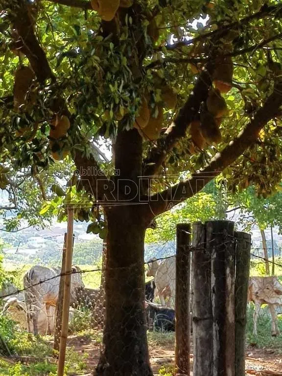 Chácara à venda de 9.188 m² em Araraquara, SP, Brasil