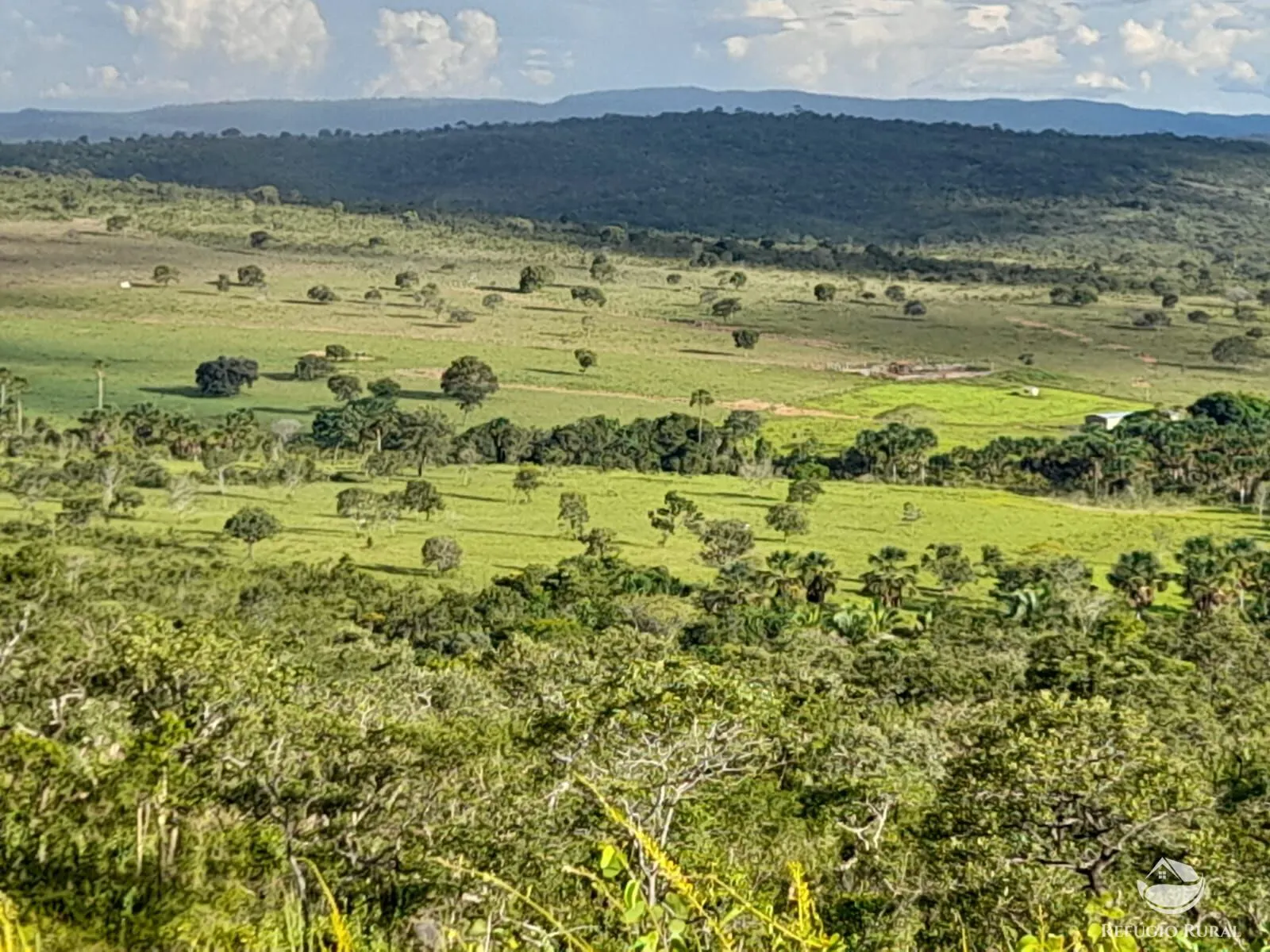 Fazenda à venda de 1.369 ha em Minaçu, GO, Brasil
