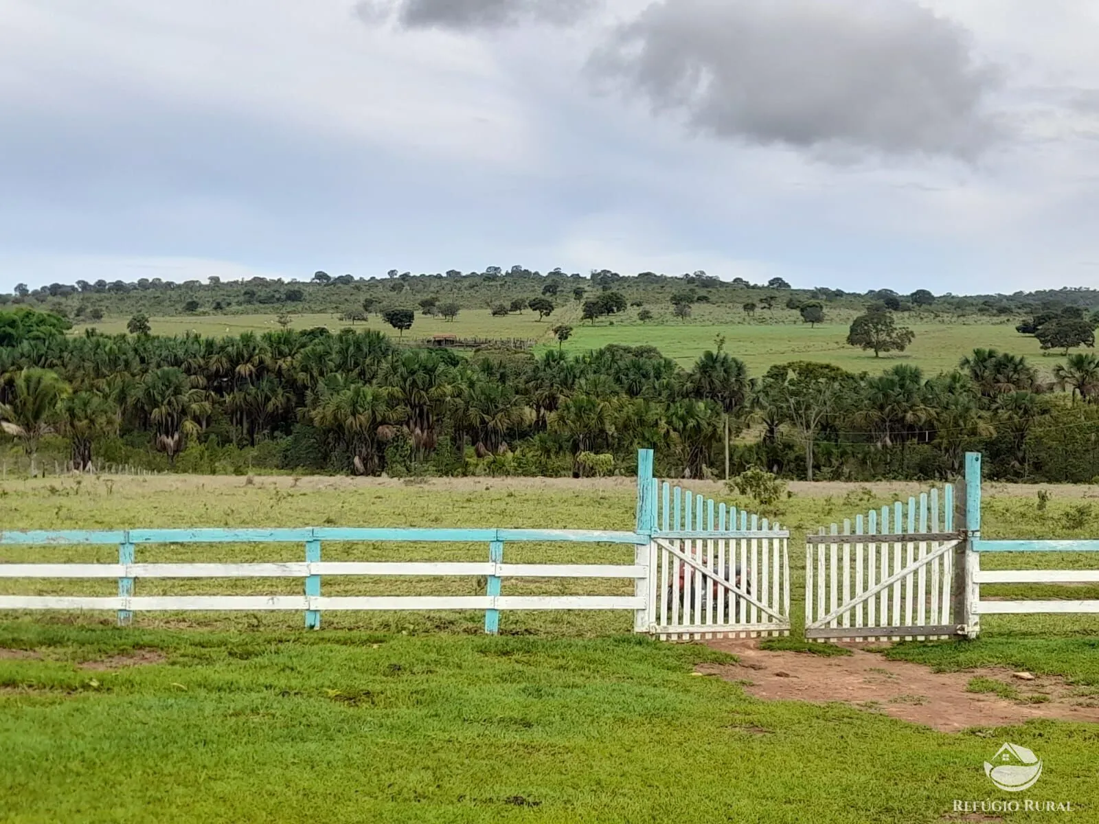 Fazenda à venda de 1.369 ha em Minaçu, GO, Brasil
