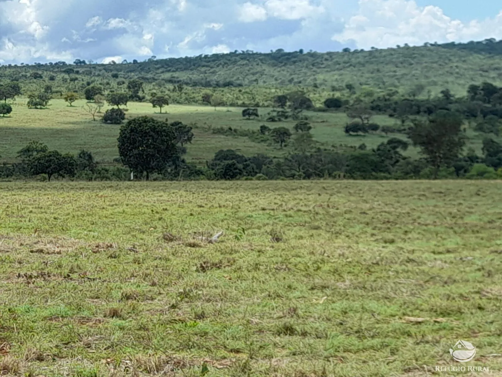 Fazenda à venda de 1.369 ha em Minaçu, GO, Brasil