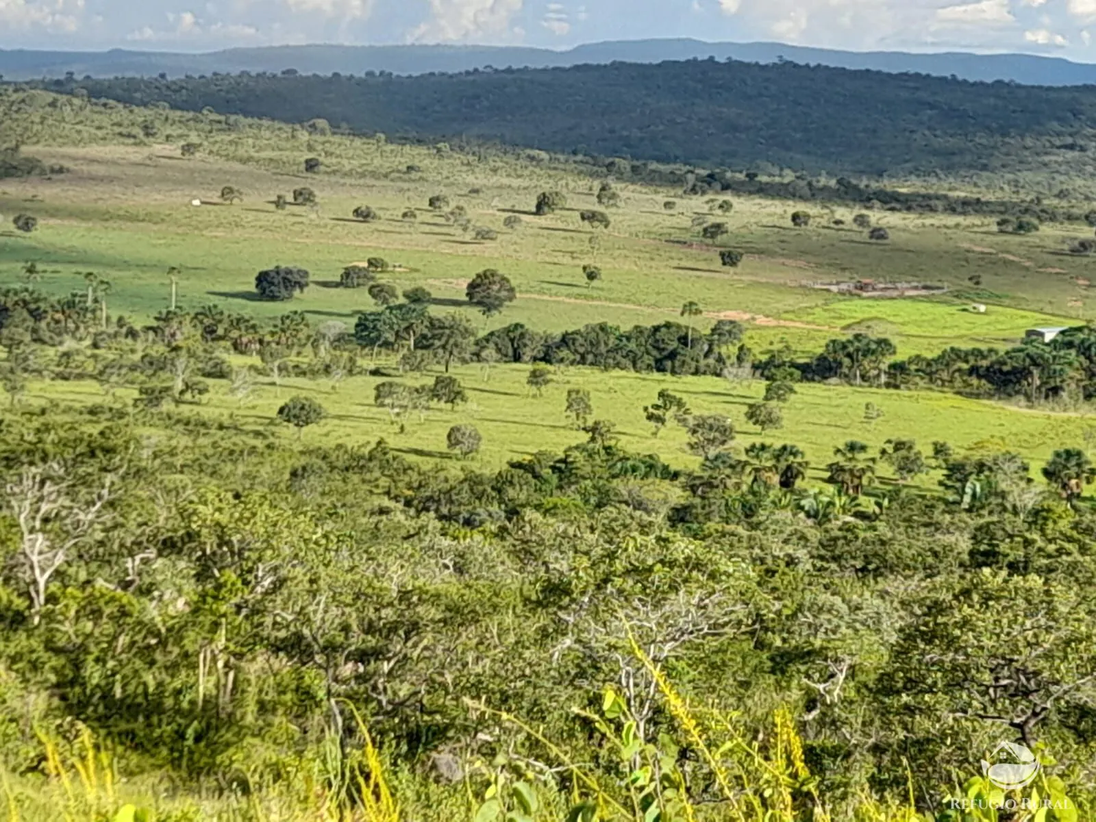 Fazenda à venda de 1.369 ha em Minaçu, GO, Brasil