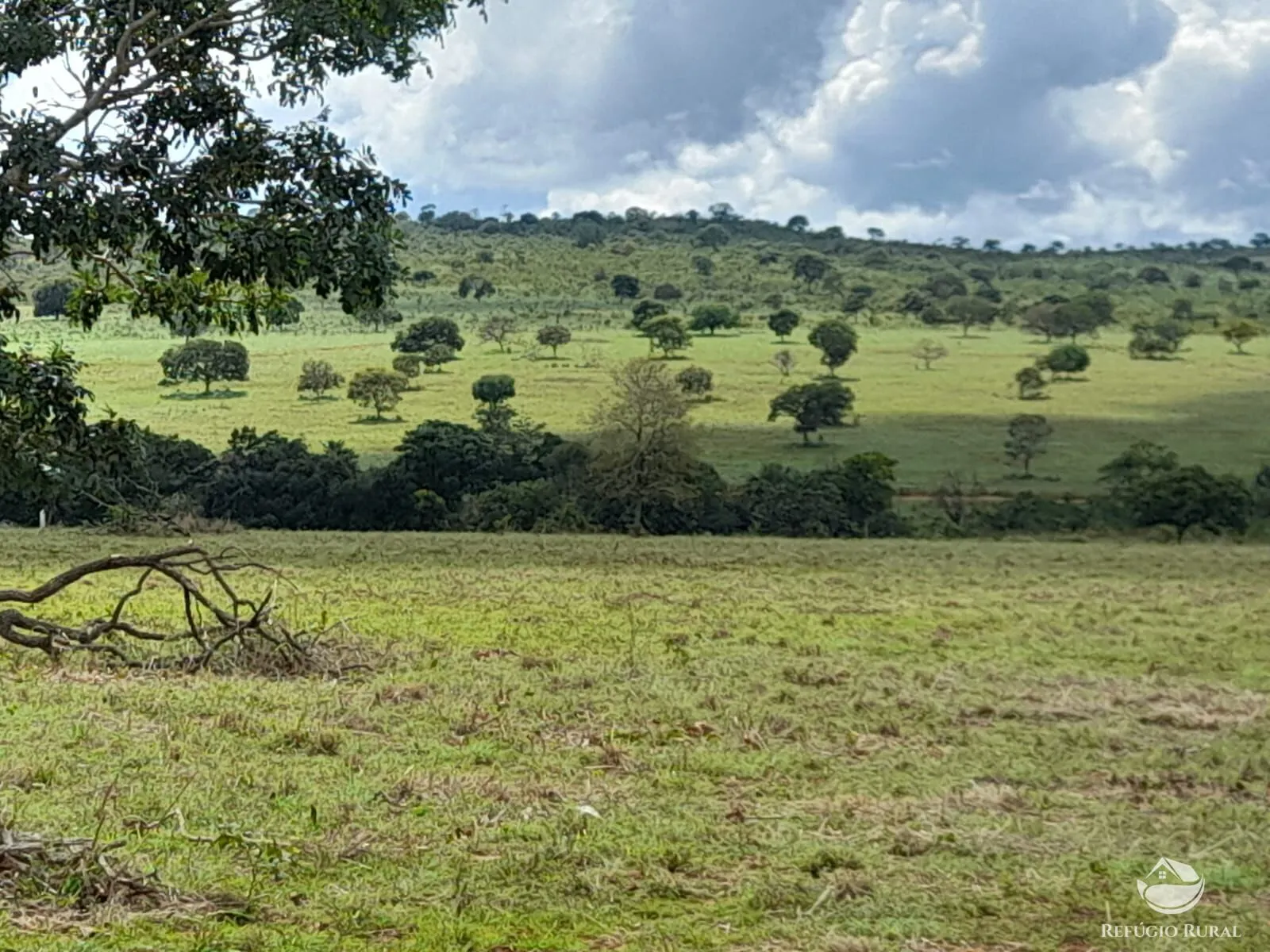 Fazenda à venda de 1.369 ha em Minaçu, GO, Brasil