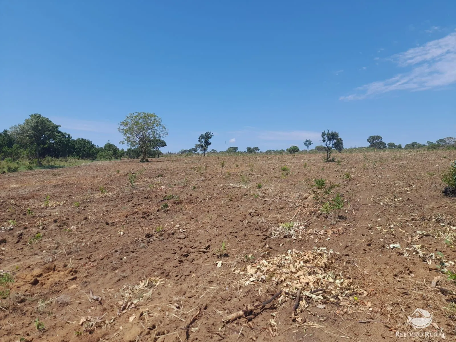 Fazenda à venda de 1.369 ha em Minaçu, GO, Brasil